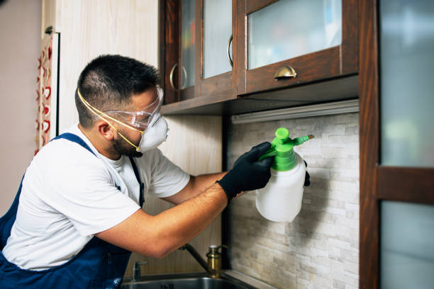 Best Affordable Pest Control Services  in East Foothills, CA